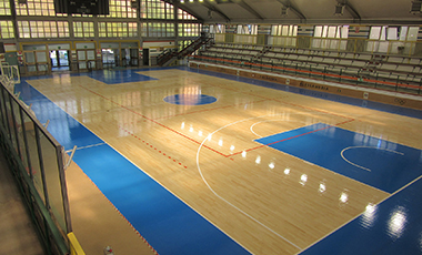 运动木地板篮球馆2
